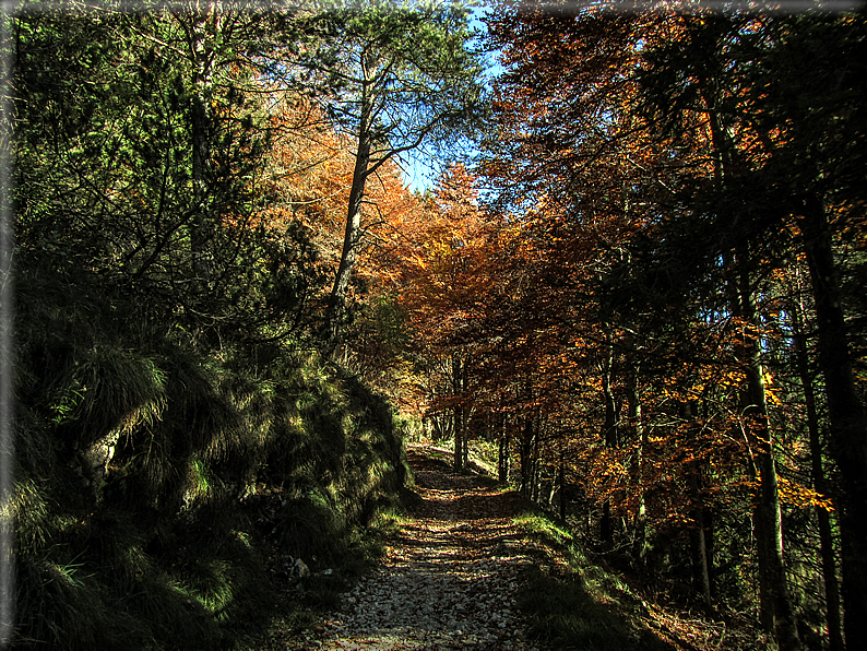 foto Mulatiera del Covolo